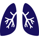 Pneumonitis/Interstitial Lung Disease (ILD) icon