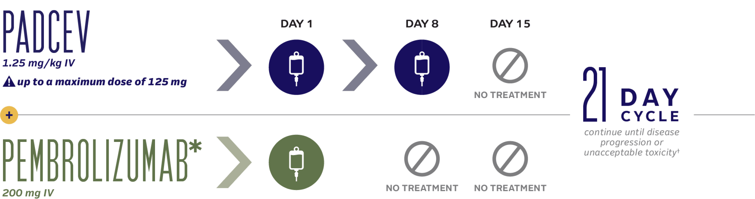 21-day dosing cycle for PADCEV in combination with pembrolizumab.