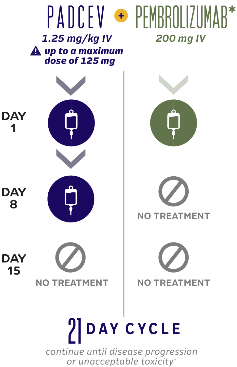 21-day dosing cycle for PADCEV in combination with pembrolizumab.