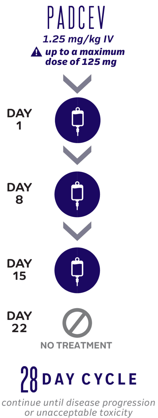 PADCEV monotherapy 28-day dosing cycle.