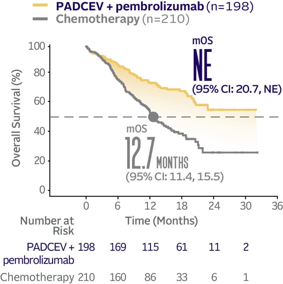 Graph showing EV-302 Subgroup OS: CISPLATIN INELIGIBLE not estimable median overall survival with PADCEV + pembrolizumab and 12.7 months median overall survival with chemotherapy