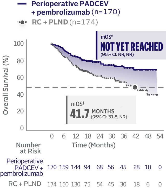 Graph showing median overall survival not reached with perioperative PADCEV + pembrolizumab in cisplatin-ineligible MIBC and 41.7 months median overall survival with RC + PLND