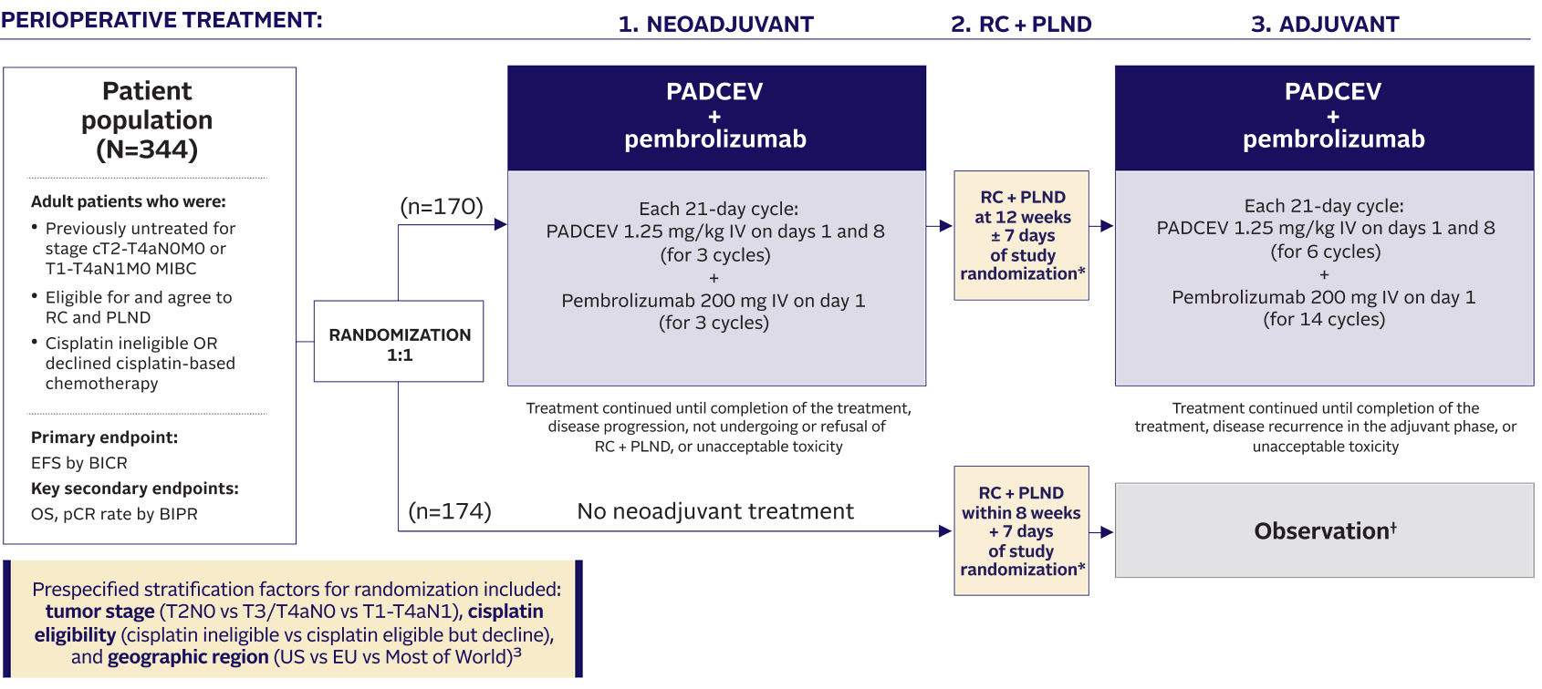 Flow chart describing EV-303 trial design