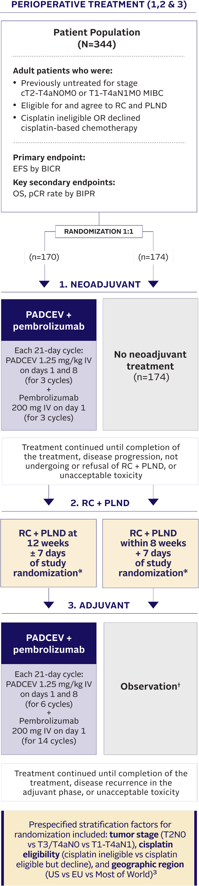 Flow chart describing EV-303 trial design