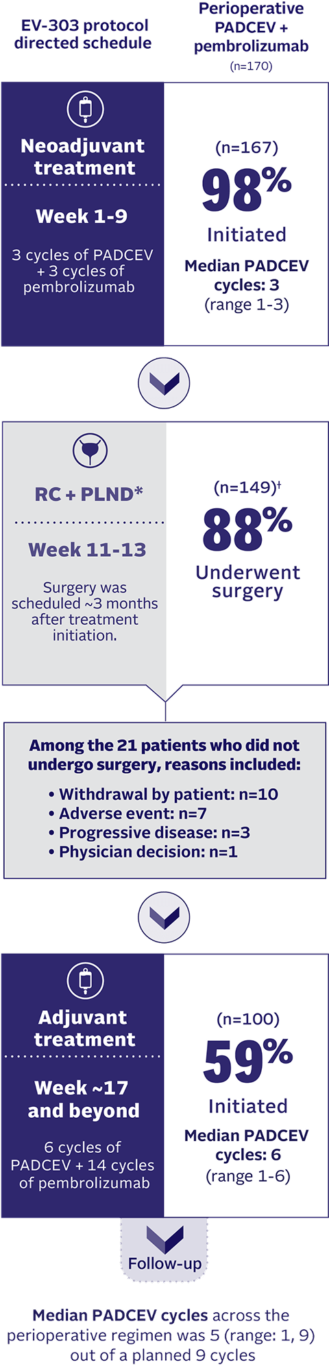 Chart showing disposition of patients with perioperative PADCEV + pembrolizumab regimen in cisplatin-ineligible MIBC.