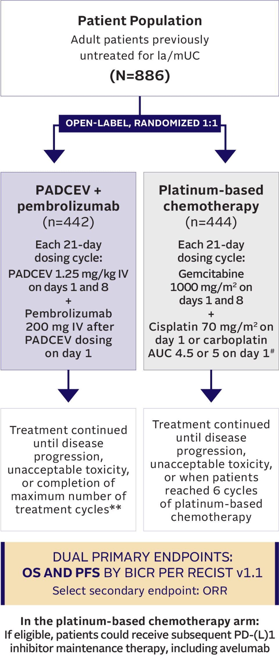 Flow chart describing EV‑302 trial design