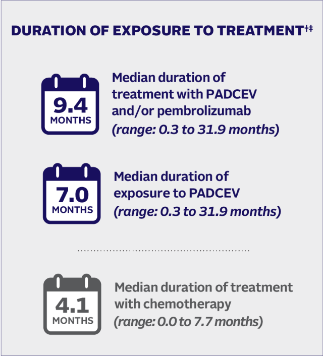 Median durations of exposure to treatment for PADCEV and/or pembrolizumab, PADCEV, and chemotherapy.